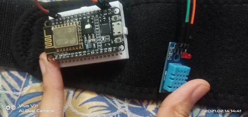 Petito – screenshot 6