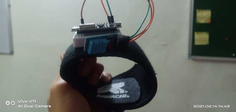 Petito – screenshot 5