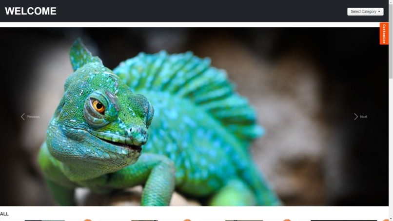 Petito – screenshot 1