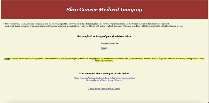 Skin Scanner – screenshot 2