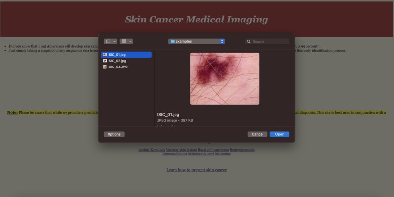 Skin Scanner – screenshot 3