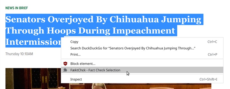 FæktChɛk – screenshot 1