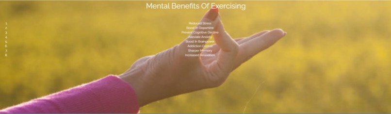 Fitness Assistance – screenshot 3