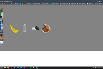 Waste Disposal website