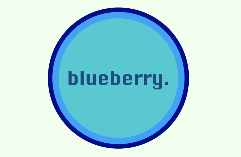 blueberry – screenshot 1