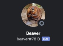 BeaverBot – screenshot 1