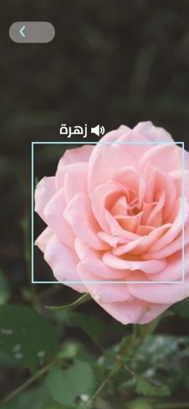 مَدد – screenshot 7