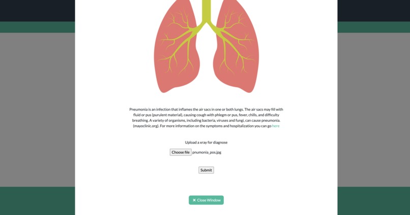 DoDiagnosis – screenshot 5