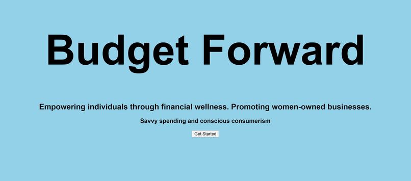 Budget Forward – screenshot 1