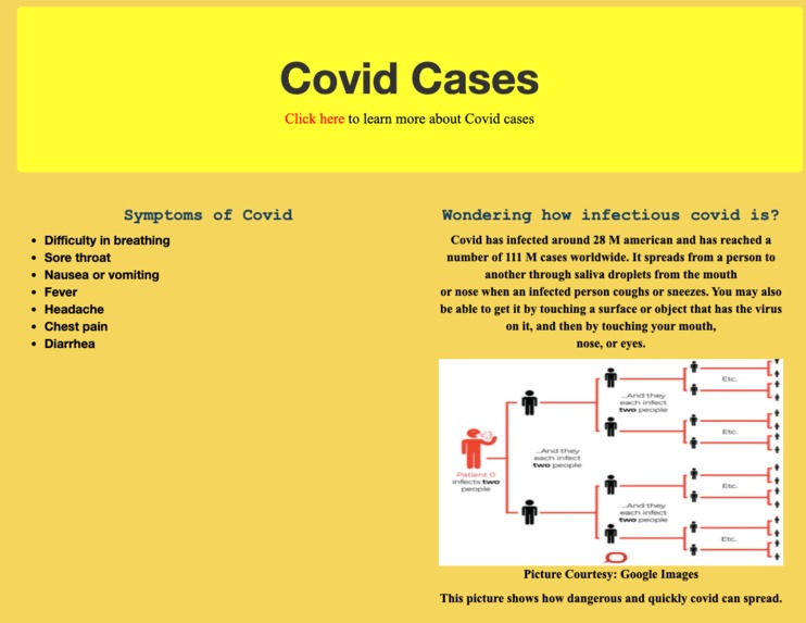 Covid-19 Awareness Project – screenshot 2