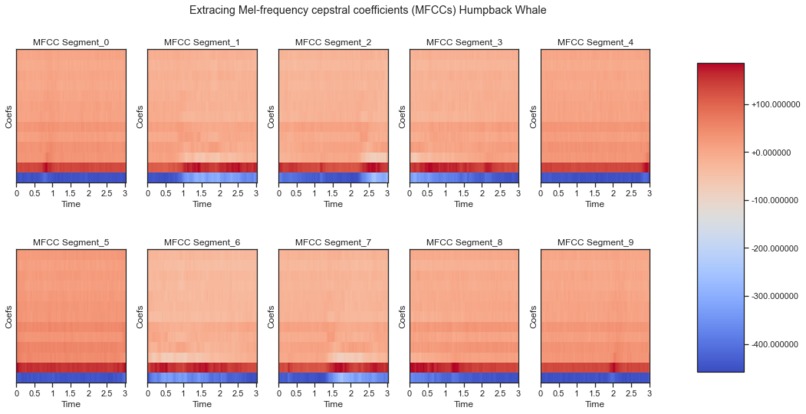Classifying Marine Mammal Vocals w/ Machine Learning – screenshot 3