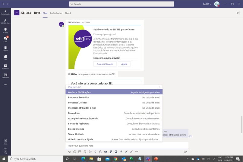 SEI 365, GOV Assistant – screenshot 2