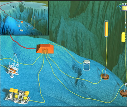 Classifying Marine Mammal Vocals w/ Machine Learning – screenshot 1