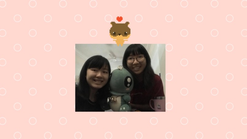 Chippy – screenshot 2