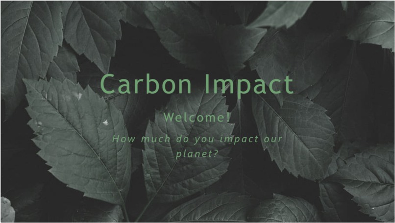 Carbon Impact – screenshot 1
