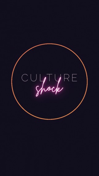 Culture Shock – screenshot 5