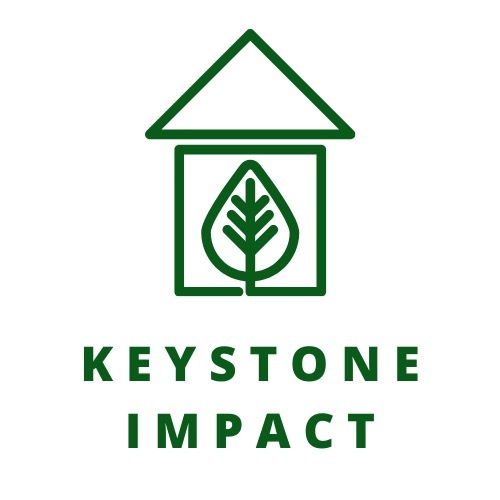 Keystone Impact – screenshot 1