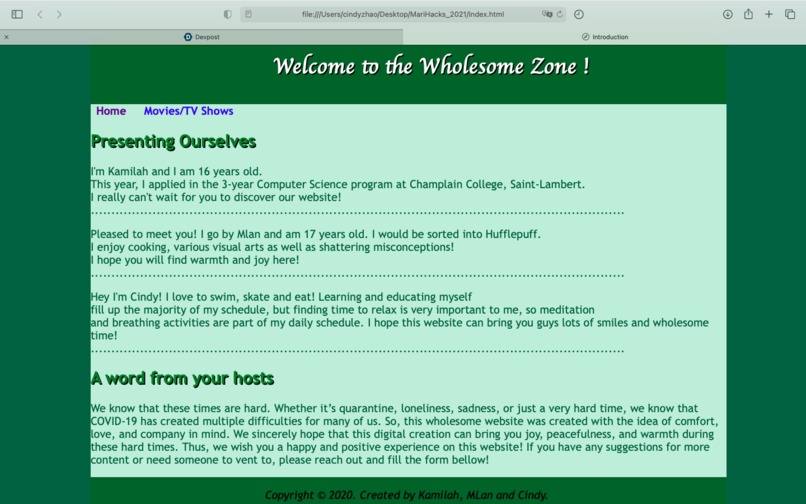 Wholesome Zone – screenshot 1