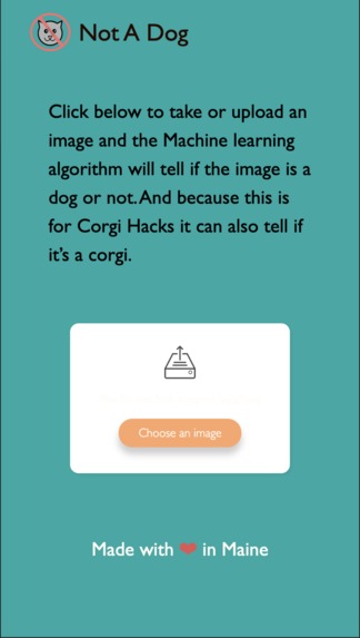 nota.dog – screenshot 1