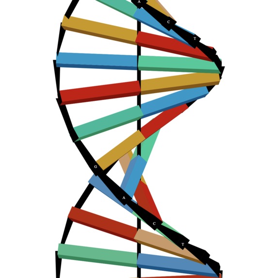 Genebox – screenshot 1