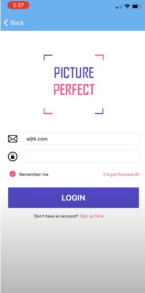Picture Perfect – screenshot 1