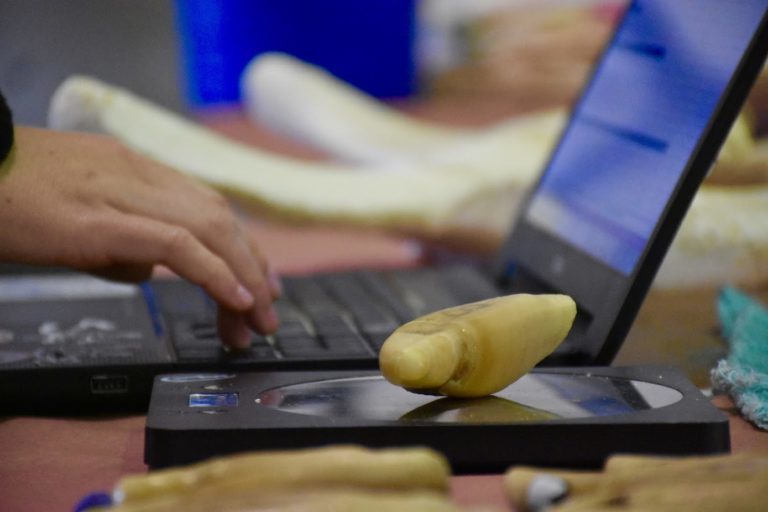 Marine Technology Program – screenshot 4