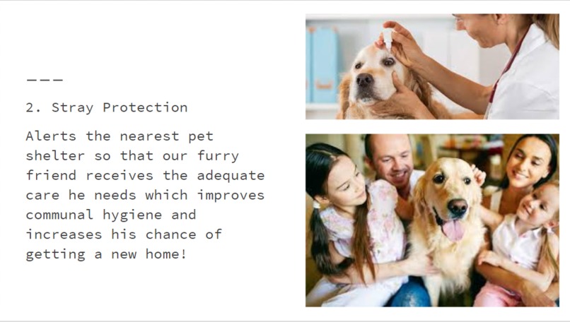 Puppy Love – screenshot 4