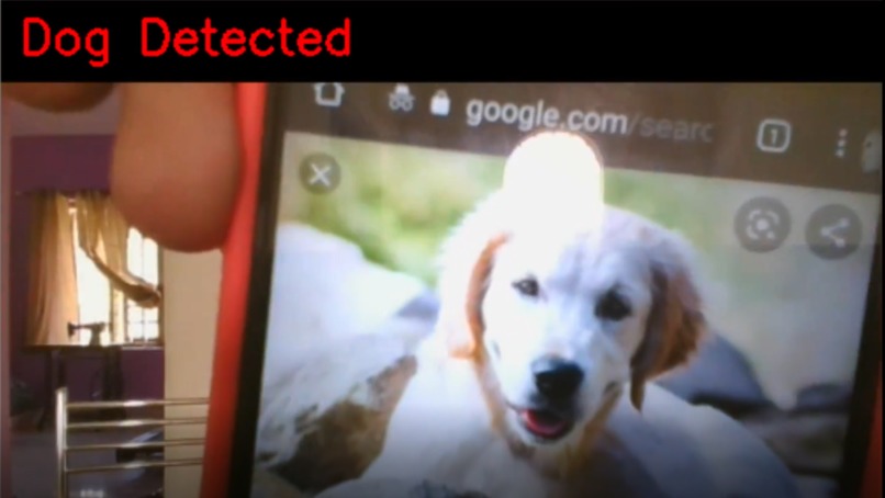 Puppy Love – screenshot 2