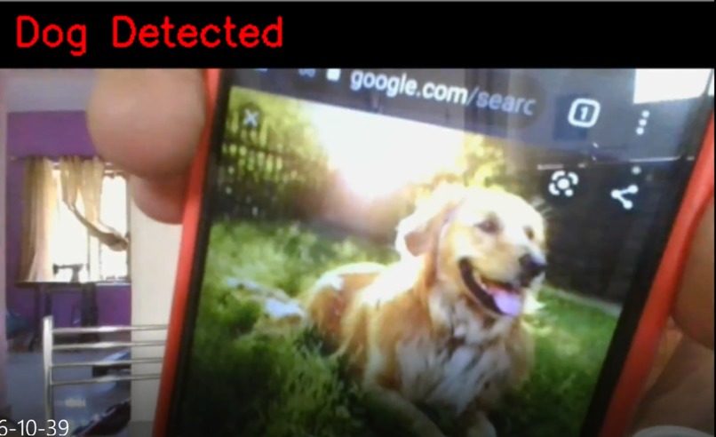 Puppy Love – screenshot 1