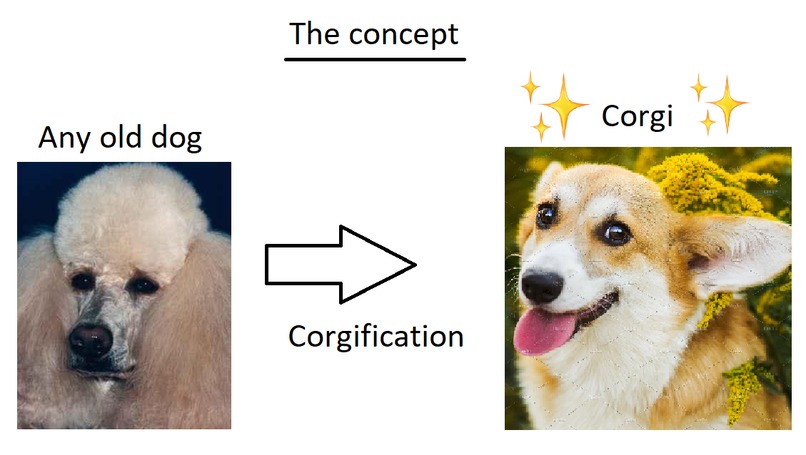 Corgify – screenshot 2