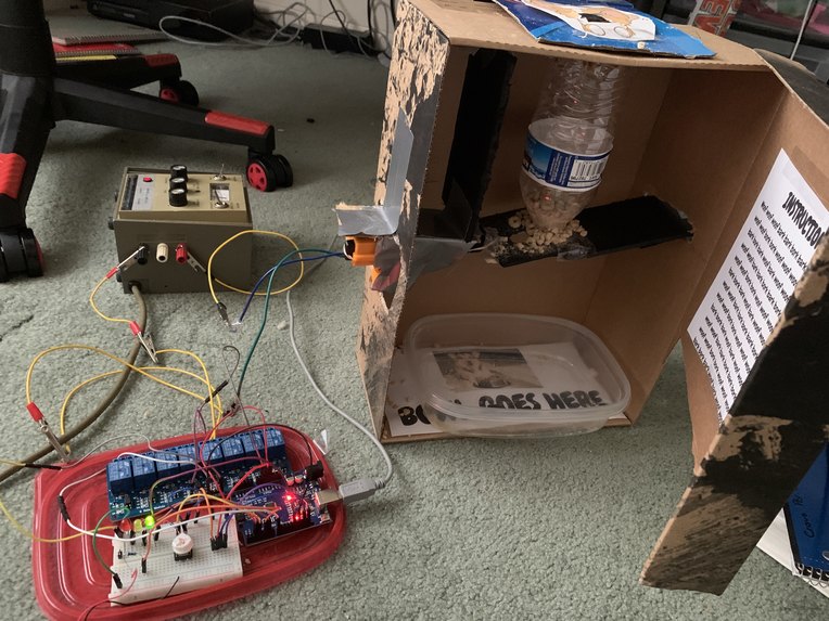 CorgiCuisine – screenshot 3