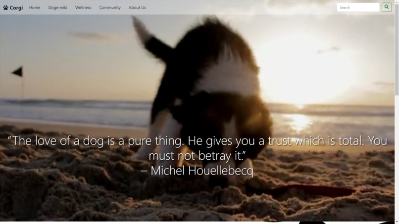 CORGI WEBSITE – screenshot 2