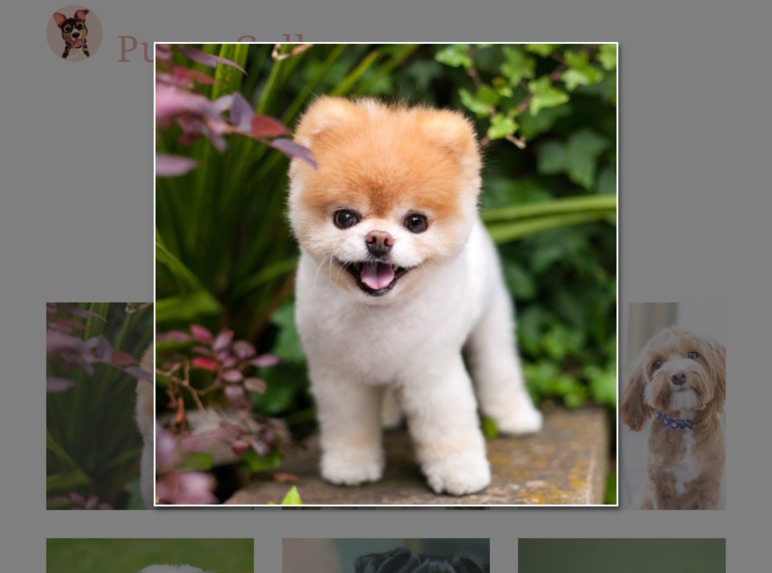 Puppy Gallery – screenshot 2