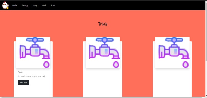 HomeBirb – screenshot 3