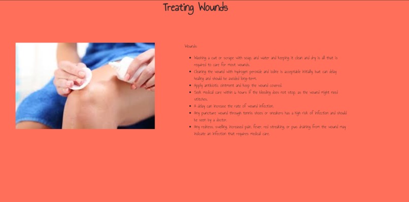 HomeBirb – screenshot 4