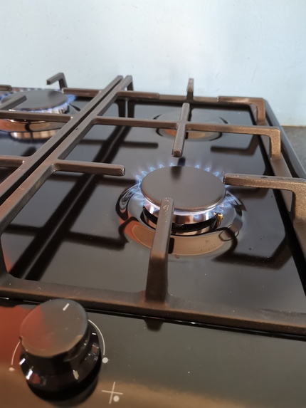 DSP- Biogas Cooker – screenshot 1