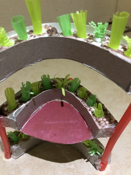 Grow for Sustainable living – screenshot 5