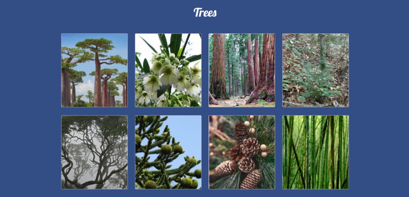 Plant the Planet – screenshot 9