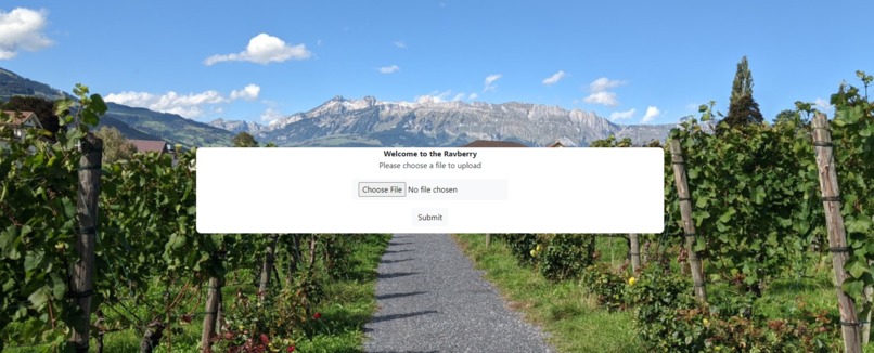 RavBerry – screenshot 1