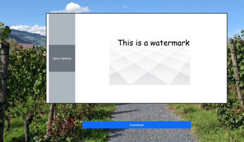 RavBerry – screenshot 4