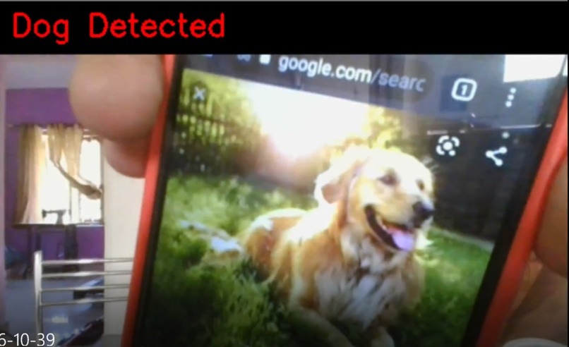 Puppy Love – screenshot 3