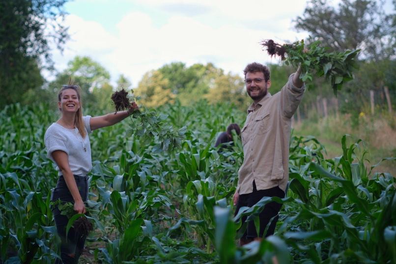 ErnteErfolg – screenshot 1