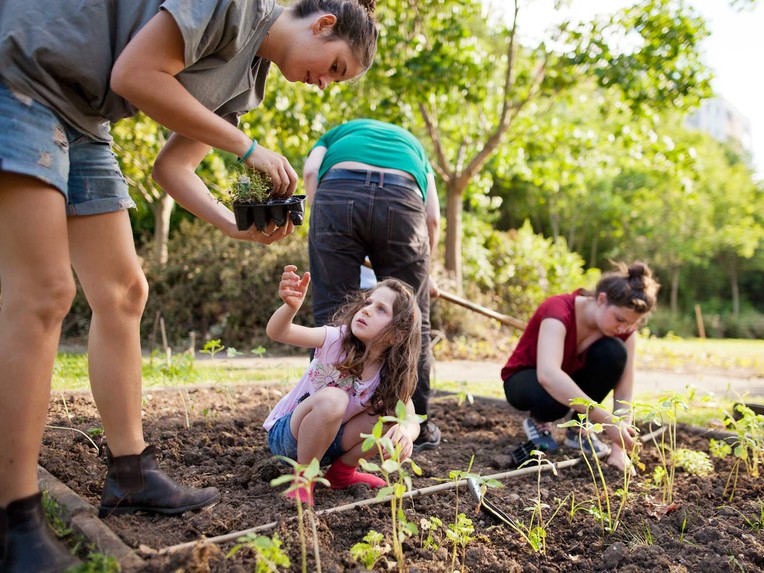 Agrilution - Next Level e.V. – screenshot 1