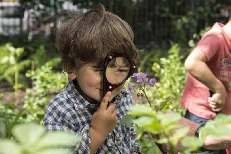 Ackerdemia e.V._GemüseAckerdemie – screenshot 1