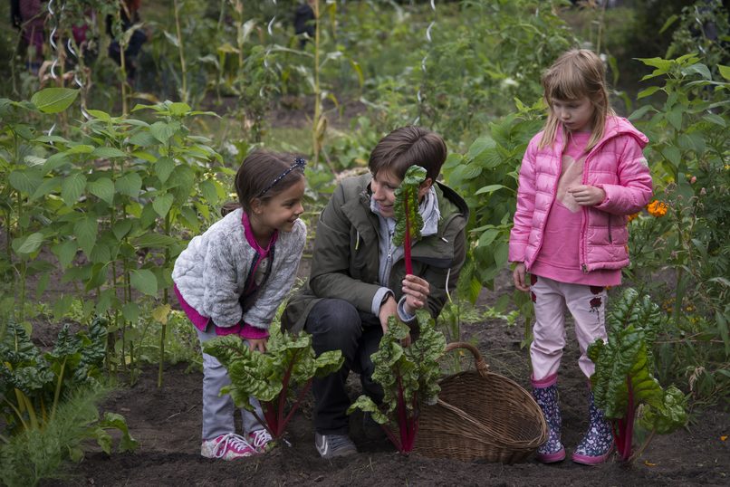 Ackerdemia e.V._GemüseAckerdemie – screenshot 3