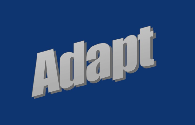 Adapt – screenshot 1