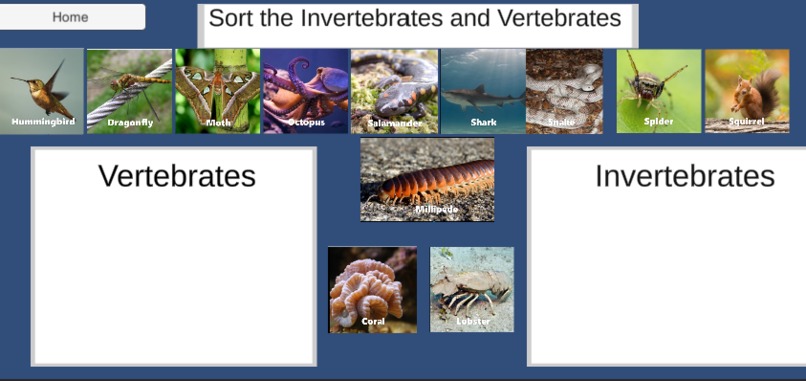 Invertebrate – screenshot 1