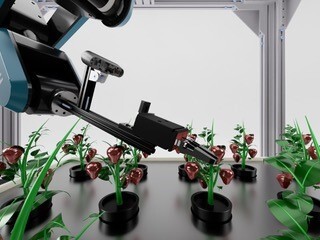 EduGarden - Knowledge is Green – screenshot 4
