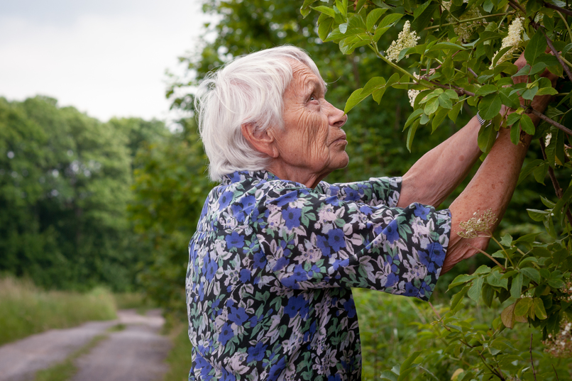 Der digitale Knick – screenshot 1