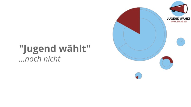 Jugend Wählt Initiative  – screenshot 2